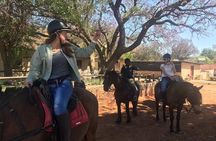 Horse riding safari from Johannesburg 