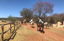 Horse riding safari from Johannesburg 