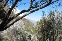 69 LAKE - HUASCARAN NATIONAL PARK / CORDILLERA BLANCA camping