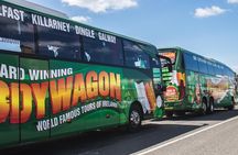Ring of Kerry Day Tour from Cork: Including Killarney National Park