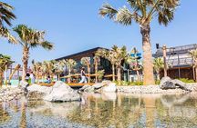 Full Day Dubai City Tour
