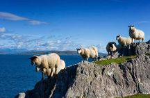 Private tour to Gougane Barra and Glengarriff 
