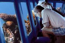 Day Tour To Red Sea El Ain Sohkna From Cairo