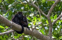 Cahuita National Park