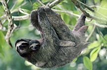 Cahuita National Park
