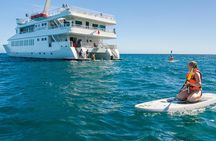 Snorkeling tour in Cabo San Lucas