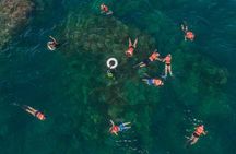 Snorkeling tour in Cabo San Lucas
