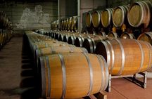 Valtellina: Winery tour and Tasting Experience