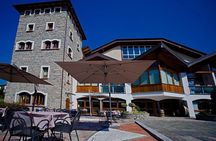 Valtellina: Winery tour and Tasting Experience