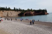Fundy Coast to Fundy Shore Tour