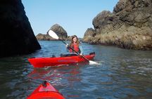 Ocean Kayaking Experience in Brookings