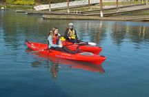 Ocean Kayaking Experience in Brookings