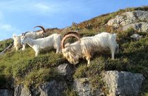 Private Snowdonia’s Mountains, Lakes & Mines Tour