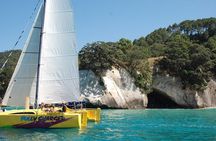 Arvo of goodness Chilled out Sail (3.5hrs)