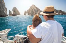 Whale Watching Experience