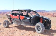 Valley of Fire Ride Along Non Driver UTV Passenger tour Las Vegas