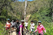 Mount Lofty Descent Bike Tour from Adelaide