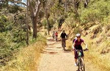 Mount Lofty Descent Bike Tour from Adelaide