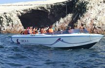 Paracas Full Day: Islas Ballestas, National Park and Sandboarding in Paracas