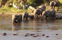 3-Days Tanzania Safari Tours