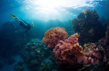 Bali Hai - PADI Advance Open Water Course in Menjangan