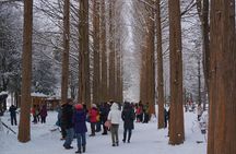 [Perfect Private Tour] Nami island, Petite France and Organic Strawberry Farm