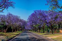 Half Day Pretoria City Tour from Johannesburg or Pretoria 