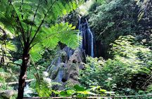 Bali Waterfall in One Day Tours, kanto lampo & Hidden Waterfall