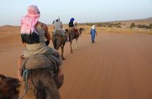 2-Day Zagora Desert Tour from Marrakech