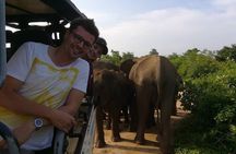 Udawalawe National Park Private 4 Hours Safari Tour