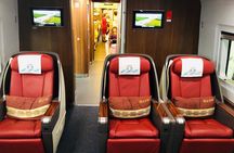 4-Hour Shore Excursion: Tianjin City Highlights and Binhai Bullet Train Experience