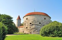 Tallinn Highlights and Marzipan Painting Masterclass