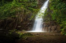 Dark View Falls & Botanical Gardens with Trubb Taxi Tours