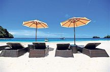 Dark View Falls & Botanical Gardens with Trubb Taxi Tours