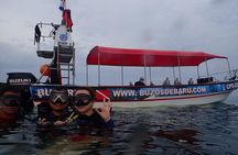 One-Day Diving Mini Course - Discover Scuba Diving