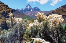 Wildlife safaris and mountain climbing