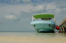 Day Trip to Isla Contoy
