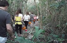 Private Tour: Jungle Adventure at Punta Laguna Nature Reserve
