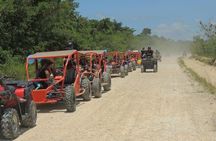 Amber Cove Super Buggys 