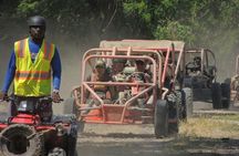 Amber Cove Super Buggys 