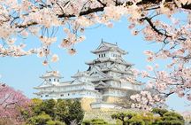 Himeji Full-Day Private Tour with Government-Licensed Guide