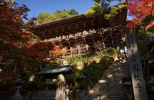Himeji Half-Day Private Tour with Government-Licensed Guide
