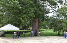  Full day in Santa Marta and Barranquilla from Cartagena