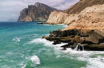 West Salalah, Al Mughsail Beach, White Beach, Frankincense Tree (Half day Tour)