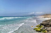 West Salalah, Al Mughsail Beach, White Beach, Frankincense Tree (Half day Tour)