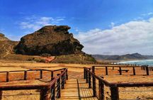West Salalah, Al Mughsail Beach, White Beach, Frankincense Tree (Half day Tour)