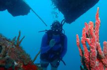 Diving Trip for Certified Divers.