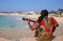 BEST VALUE small group island tour w/SHARK experience & salt lake