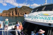 Cape Woolamai Sightseeing Cruise from San Remo
