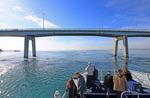 Cape Woolamai Sightseeing Cruise from San Remo